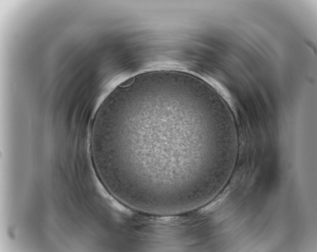 X0000096221390200801251047