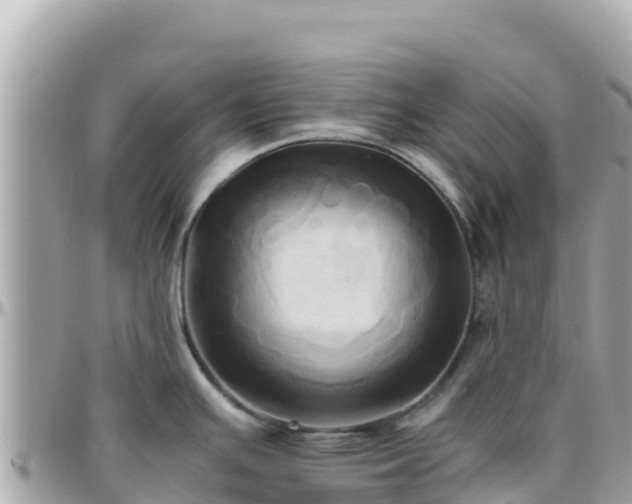 X0000096221391200801251047