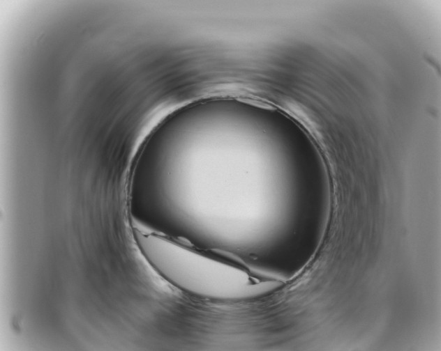 X0000096221392200801251047