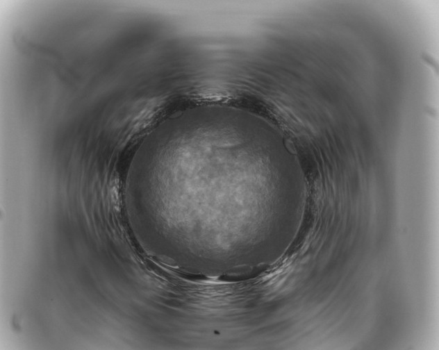 X0000096221394200801251046