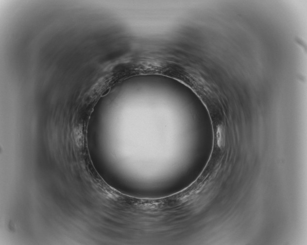 X0000096221395200801251046