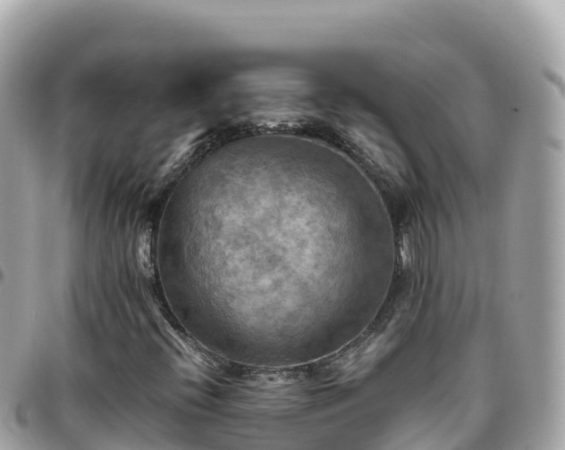 X0000096221396200801251046