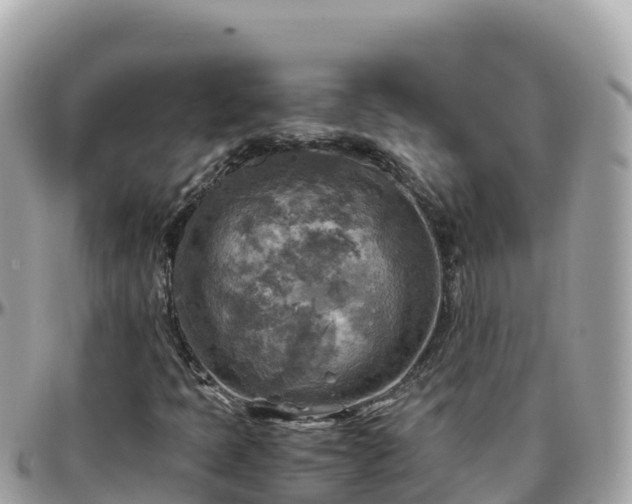 X0000096221397200801251046