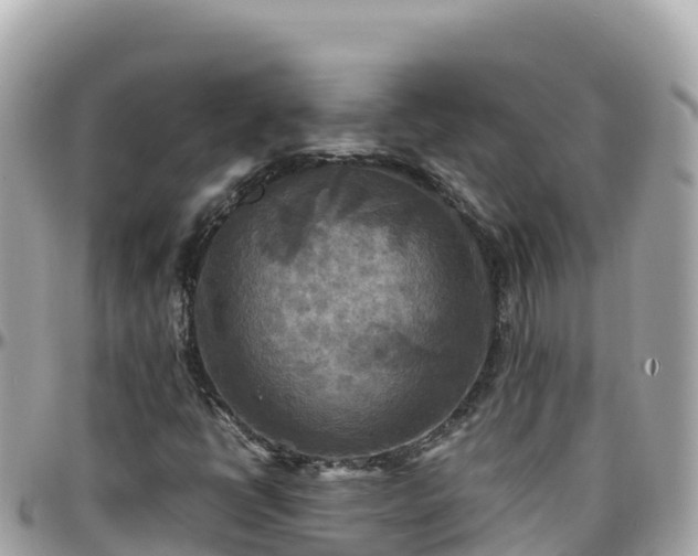 X0000096221398200801251046