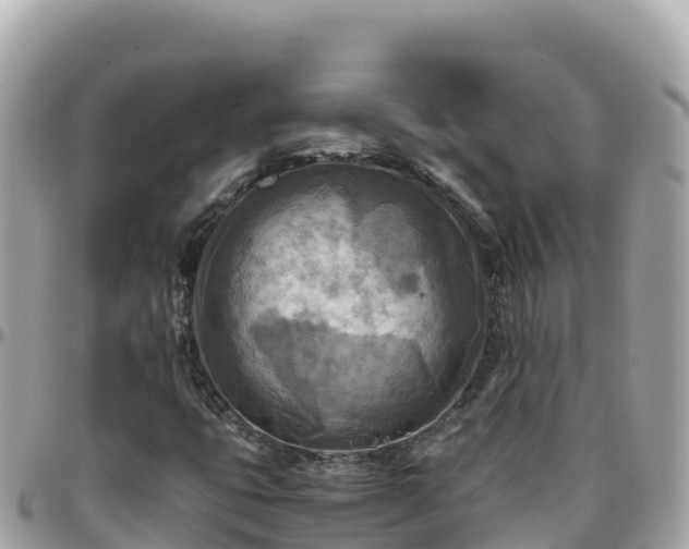 X0000096221399200801251046