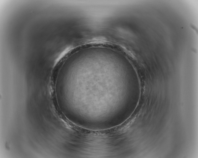 X0000096221400200801251046