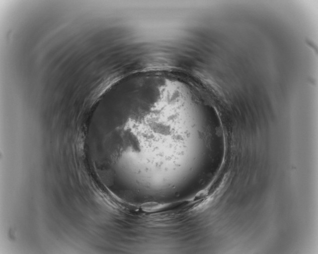 X0000096221401200801251046