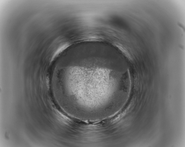 X0000096221402200801251046