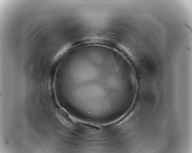 X0000096221403200801251046