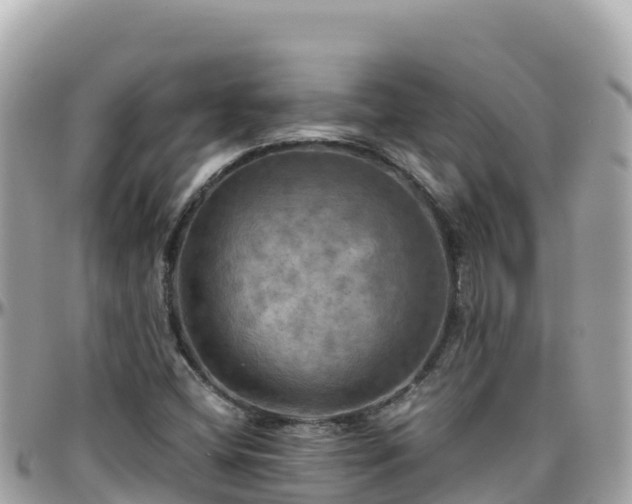 X0000096221404200801251046