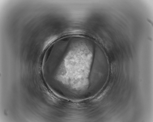 X0000096221405200801251046