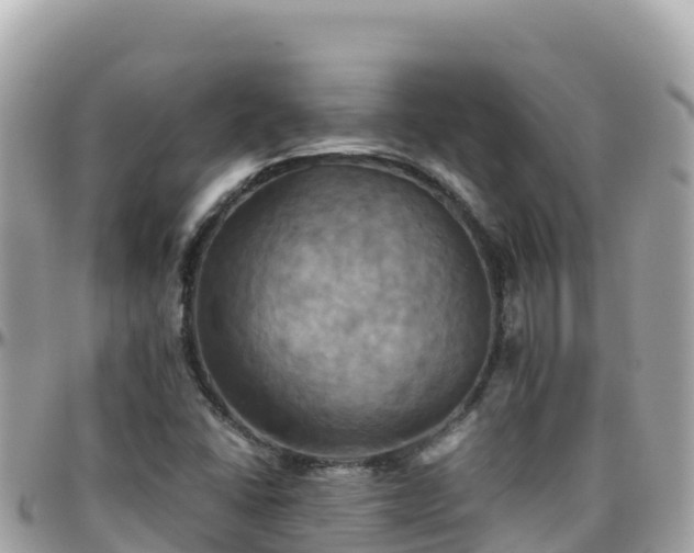 X0000096221406200801251046