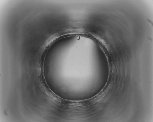 X0000096221407200801251046