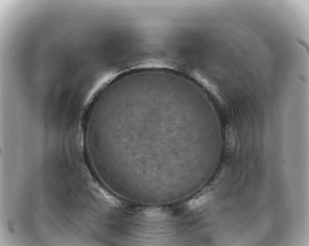 X0000096221408200801251046