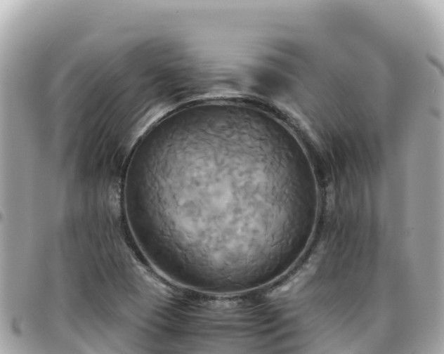 X0000096221409200801251046