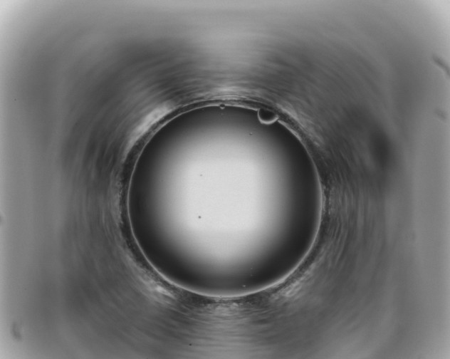 X0000096221410200801251046