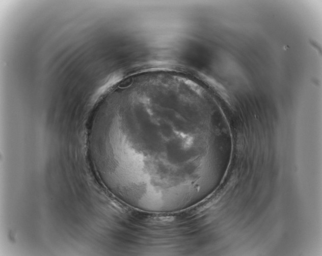 X0000096221411200801251047