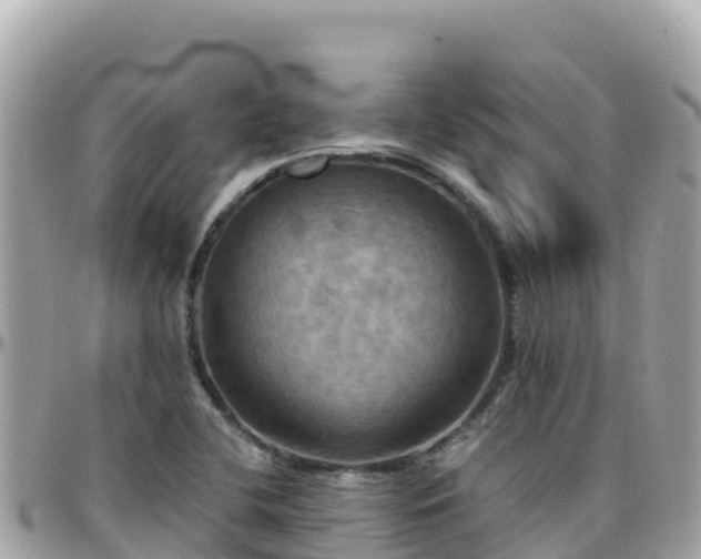 X0000096221412200801251047