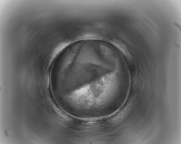 X0000096221413200801251047