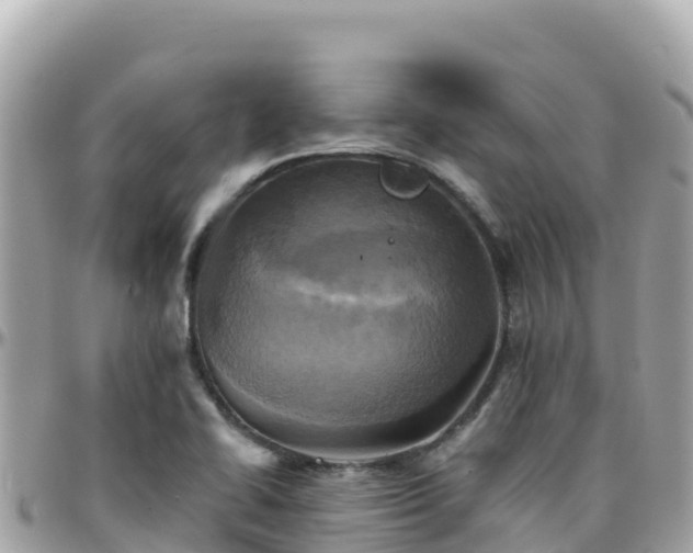 X0000096221414200801251047