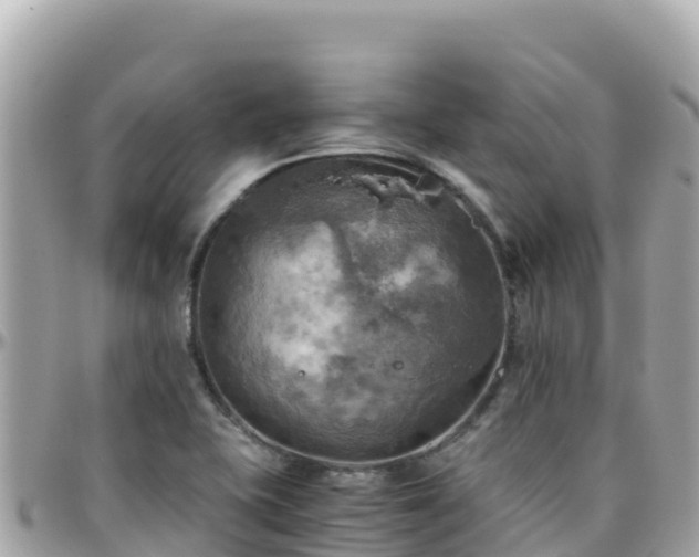 X0000096221415200801251047