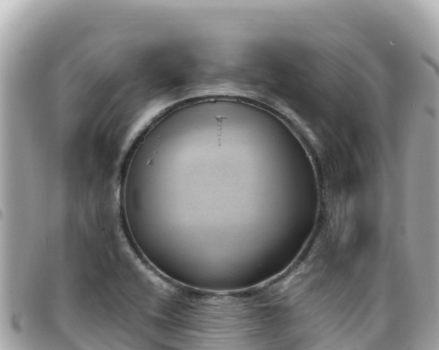 X0000096221416200801251047