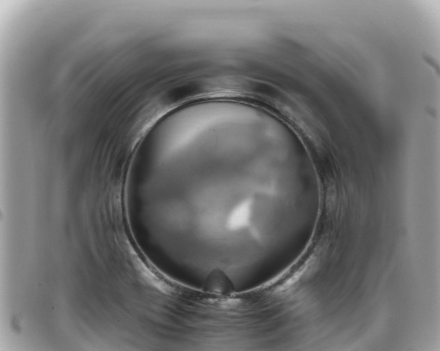 X0000096221417200801251047