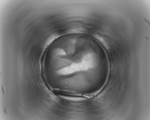 X0000096221419200801251047