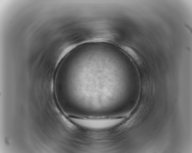 X0000096221420200801251047