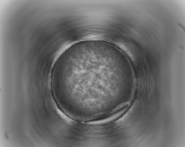 X0000096221421200801251047