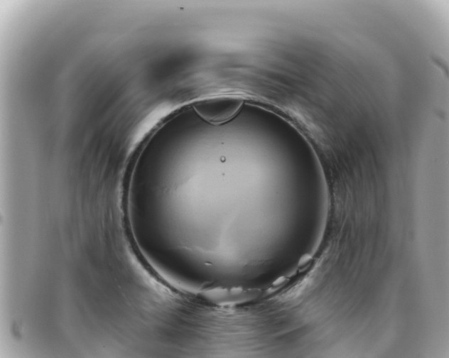 X0000096221422200801251047