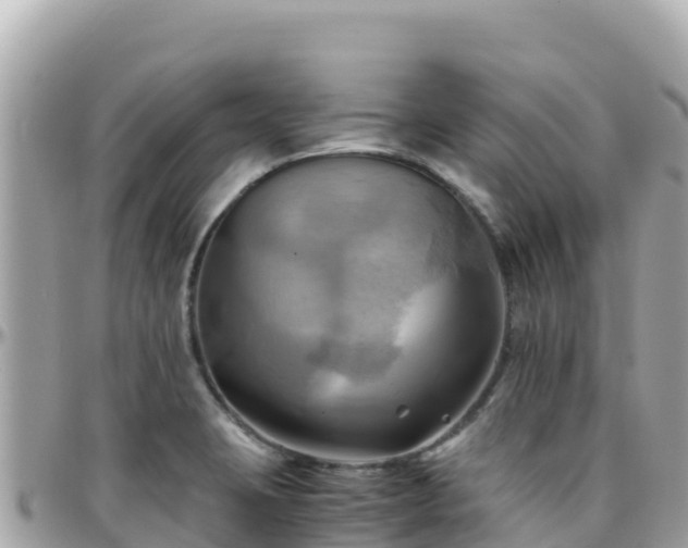 X0000096221423200801251047