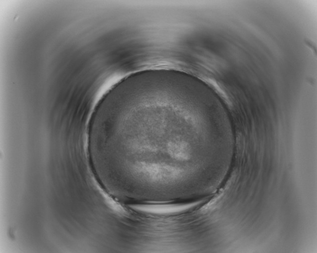 X0000096221424200801251047