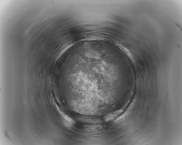 X0000096221425200801251047