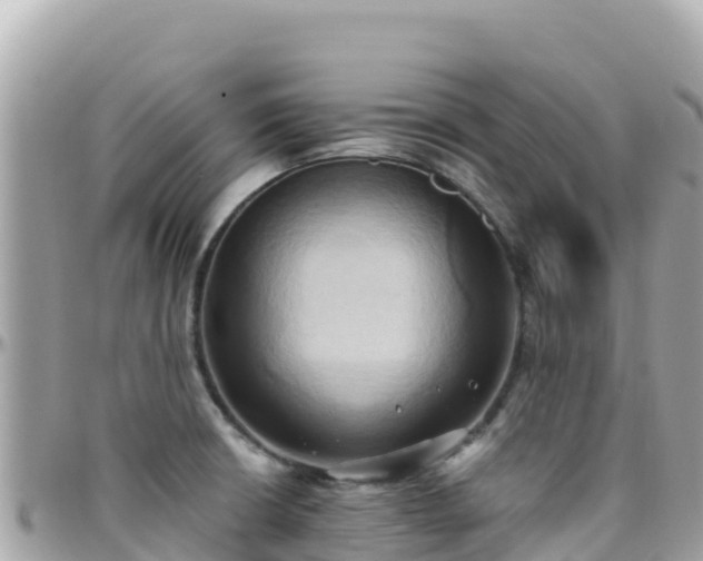 X0000096221426200801251047