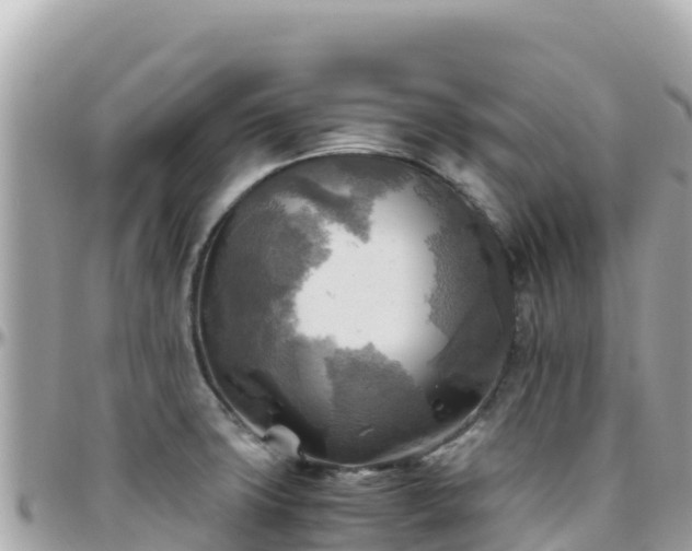 X0000096221427200801251047