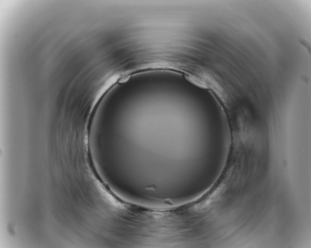 X0000096221428200801251047