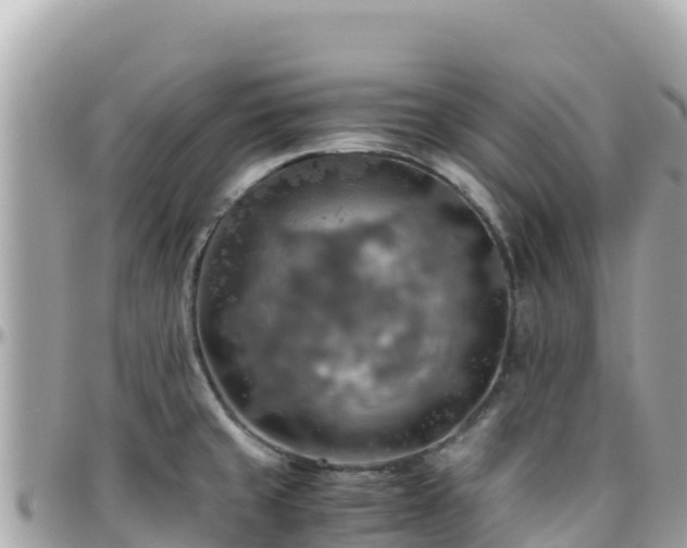 X0000096221429200801251047