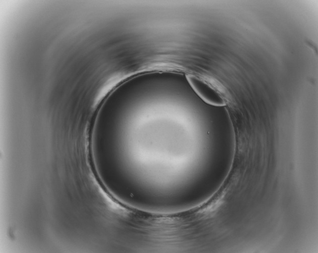 X0000096221430200801251047