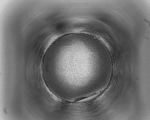 X0000096221432200801251047