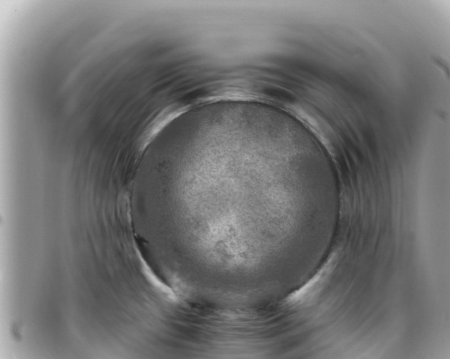 X0000096221433200801251047