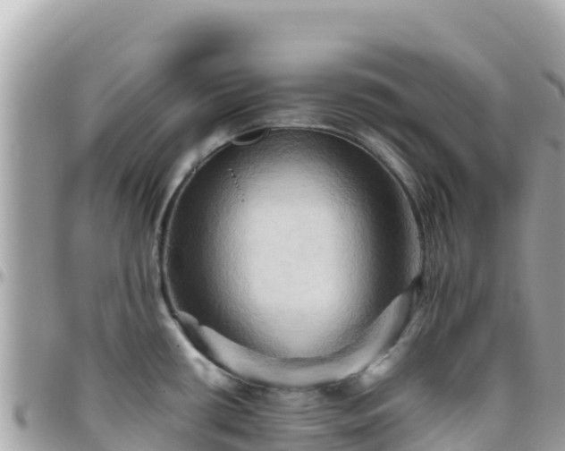 X0000096221434200801251047