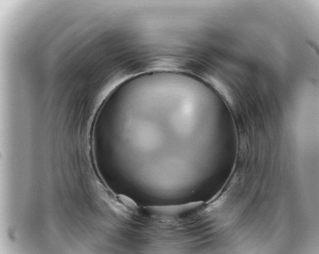 X0000096221435200801251047