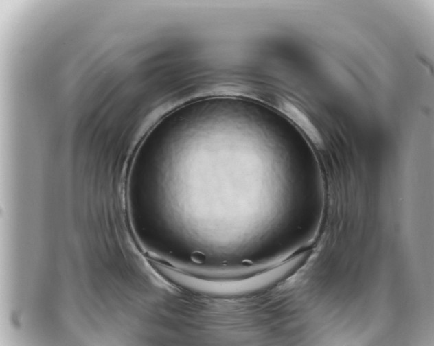 X0000096221436200801251047