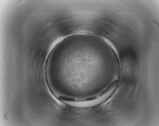 X0000096221437200801251047