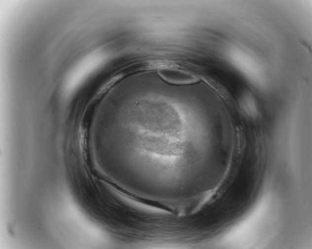 X0000096221438200801251047