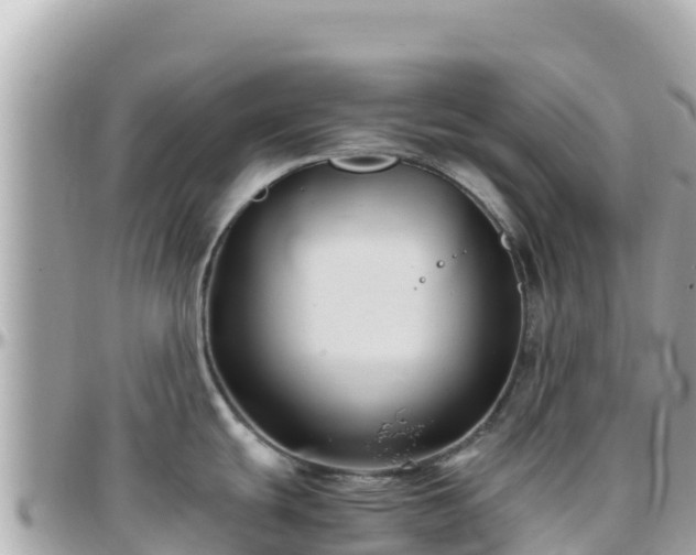 X0000096221439200801251047