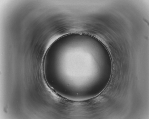 X0000096221440200801251047