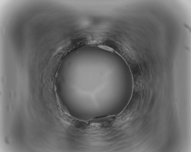 X0000096221441200801251046