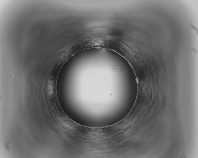 X0000096221442200801251046